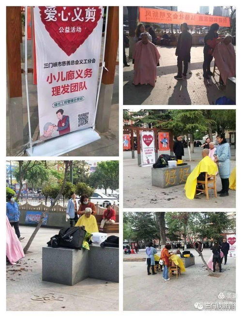 市绿化工程管理处 学党史办实事，优化工程管理服务惠民生